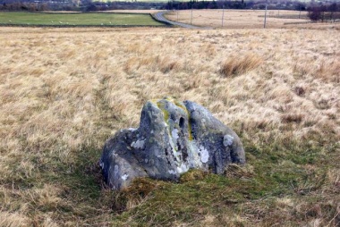 A large stone sits in a remote field.